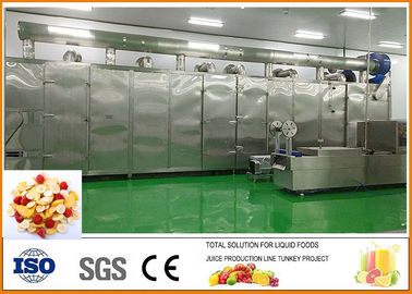 الصين الفواكه والخضروات الفواكه المجففة خط إنتاج شهادة ISO9001 المزود