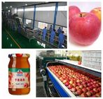 Small Capacity Apple Juice Processing Plant SS304 Material Beverage Processing Line